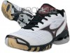 Mizuno волейбольные кроссовки Mizuno Wave Lightning RX