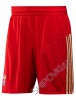 Футбольная форма сборной России RFU Home Short 